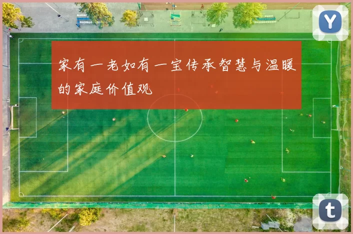 家有一老如有一宝传承智慧与温暖的家庭价值观