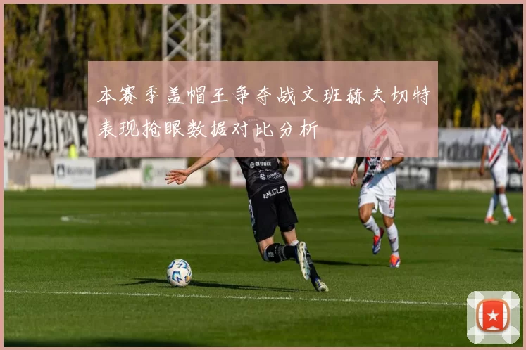 本赛季盖帽王争夺战文班赫夫切特表现抢眼数据对比分析